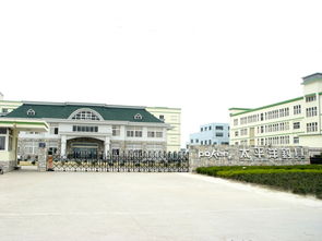 太平洋渔具品牌实力解析 鱼竿品质与用户口碑深度点评